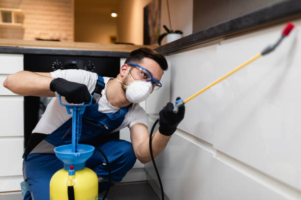 Best Termite Control Services  in Castle Point, MO