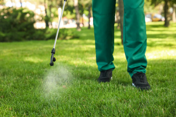 Best Affordable Pest Control Services  in Castle Point, MO