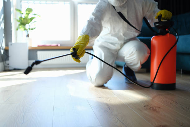 Best Pest Removal Services  in Castle Point, MO