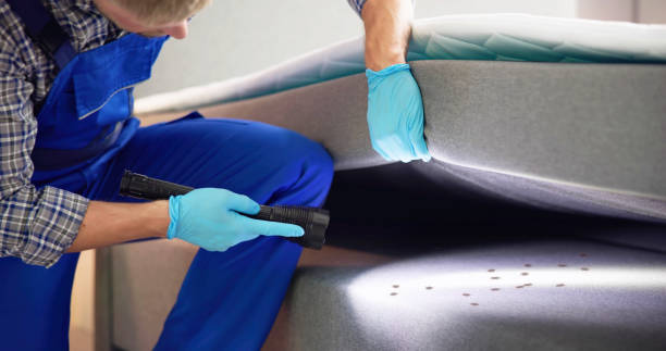 Best Pest Control for Businesses  in Castle Point, MO